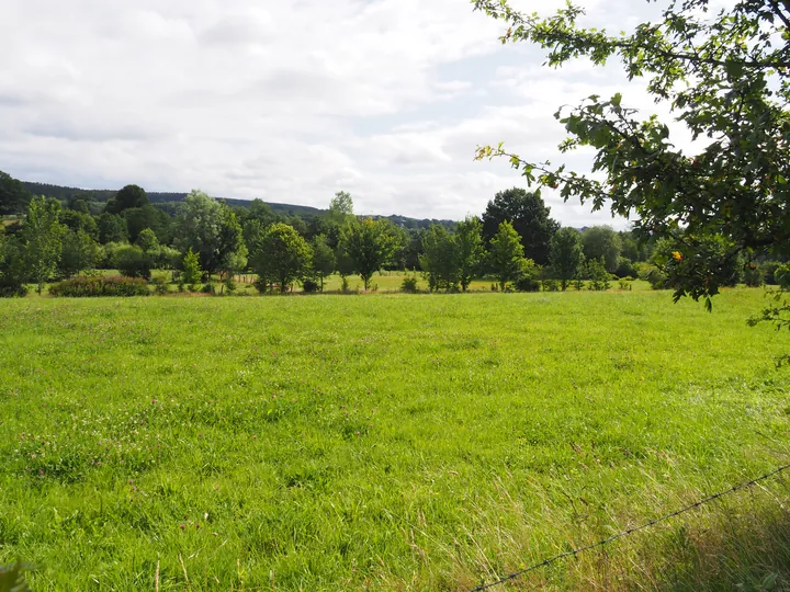 Ferme de la Planche (barefoot path) (België)